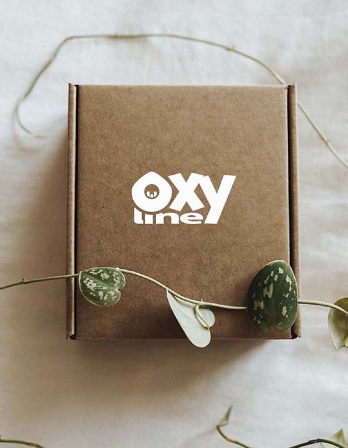 box_6_1